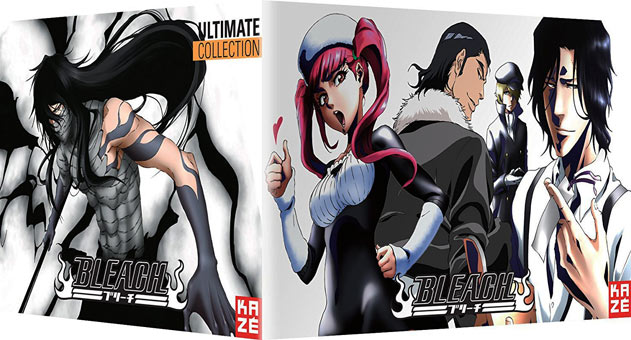 Bleach-coffret-collector-2-edition-limitee-saison-4-5-6-oav-film-DVD