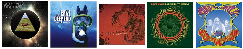 discographie-Govt-Mule-dark-side-of-the-mule-CD-Vinyle-DVD