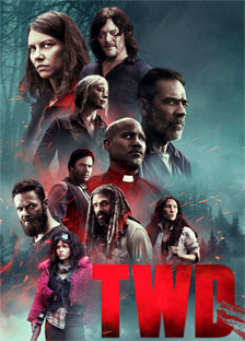 twd 10 coffret bluray dvd